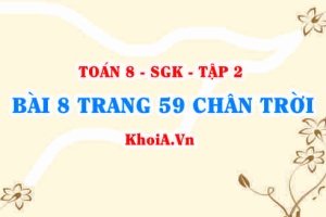 Bài 8 trang 59 Toán 8 Chân trời sáng tạo Tập 2